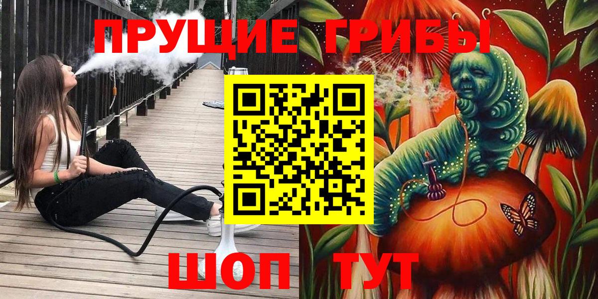 Псилоцибиновые грибы Psilocybine cubensis Петрозаводск