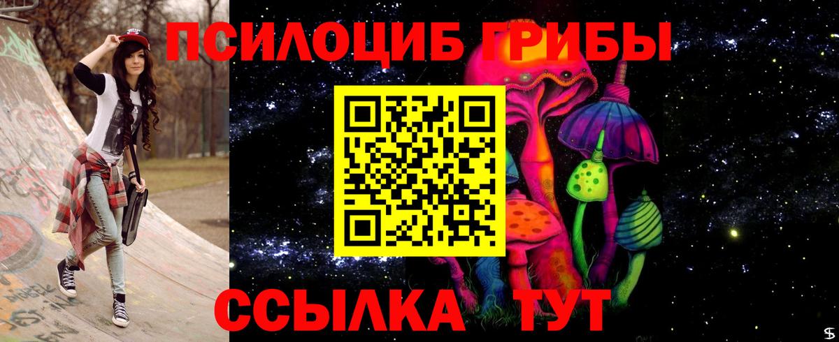 Галлюциногенные грибы Psilocybe  закладка  Петрозаводск  Вход с VPN 